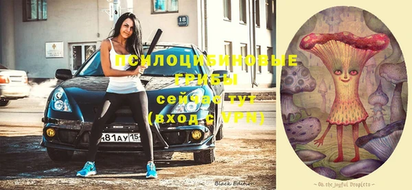 2c-b Няндома