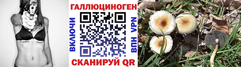 Псилоцибиновые грибы ЛСД  купить наркотик  Ставрополь 