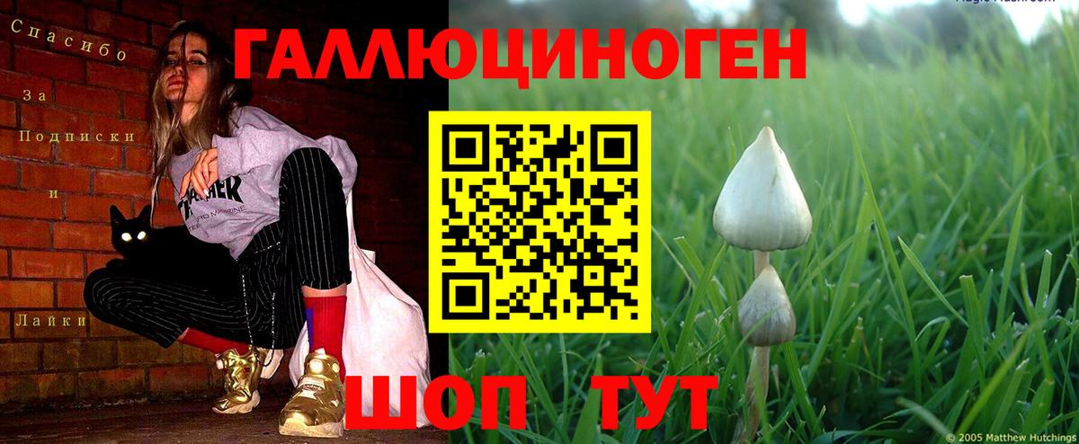 Ставрополь  Галлюциногенные грибы Psilocybine cubensis  Галлюциногенные грибы Psilocybine cubensis  Вход с VPN 